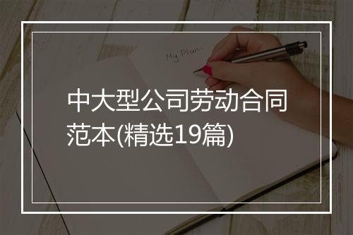 中大型公司劳动合同范本(精选19篇)