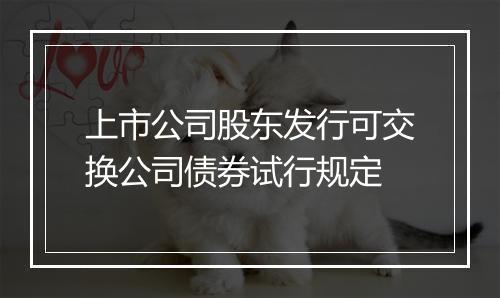 上市公司股东发行可交换公司债券试行规定