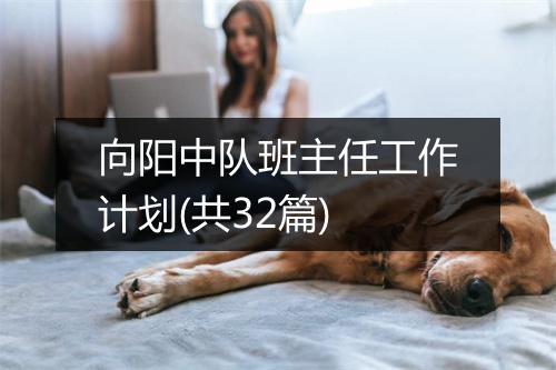 向阳中队班主任工作计划(共32篇)