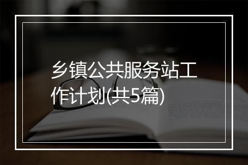 乡镇公共服务站工作计划(共5篇)