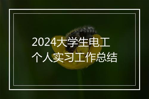 2024大学生电工个人实习工作总结