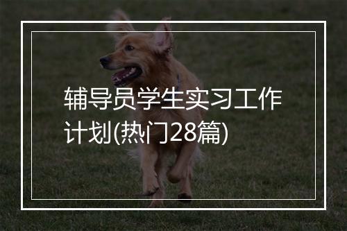 辅导员学生实习工作计划(热门28篇)