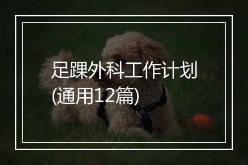 足踝外科工作计划(通用12篇)