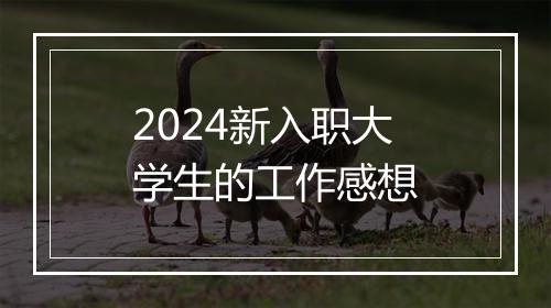 2024新入职大学生的工作感想