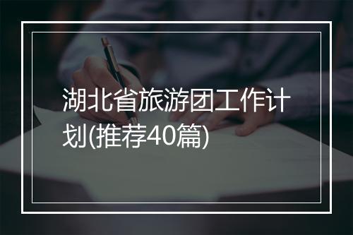 湖北省旅游团工作计划(推荐40篇)