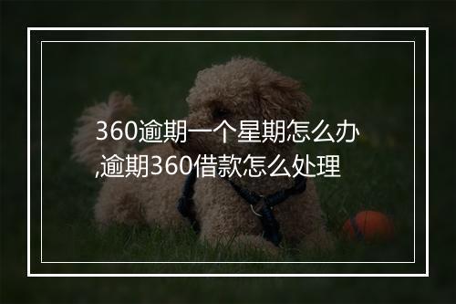360逾期一个星期怎么办,逾期360借款怎么处理