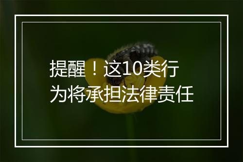 提醒！这10类行为将承担法律责任