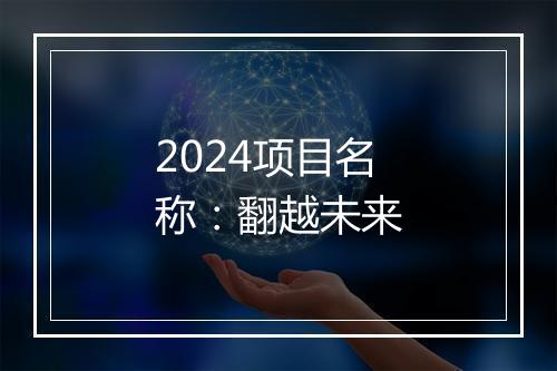 2024项目名称：翻越未来
