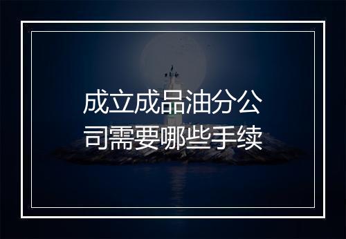 成立成品油分公司需要哪些手续