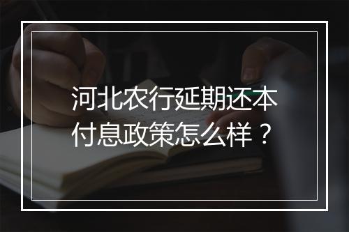 河北农行延期还本付息政策怎么样？