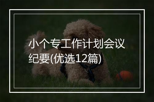 小个专工作计划会议纪要(优选12篇)