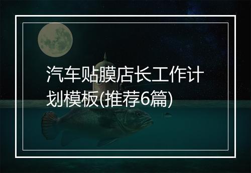 汽车贴膜店长工作计划模板(推荐6篇)