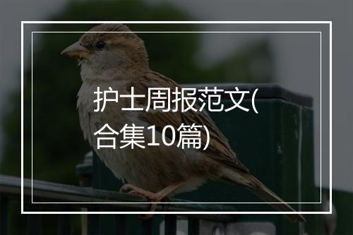 护士周报范文(合集10篇)