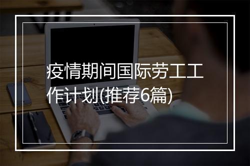 疫情期间国际劳工工作计划(推荐6篇)