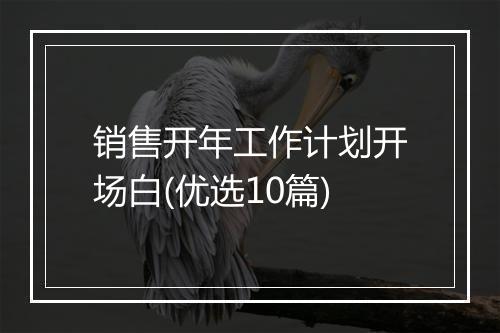 销售开年工作计划开场白(优选10篇)