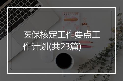 医保核定工作要点工作计划(共23篇)