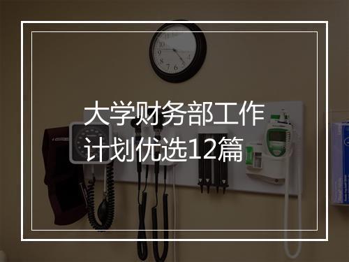 大学财务部工作计划优选12篇