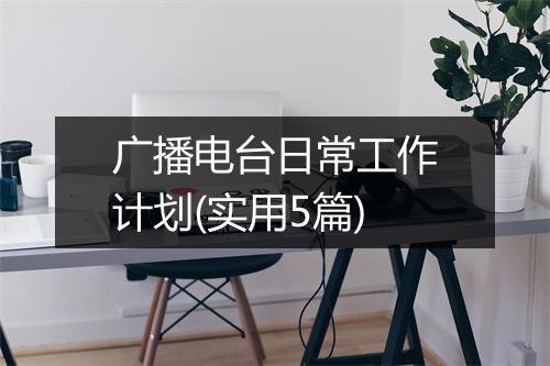 广播电台日常工作计划(实用5篇)