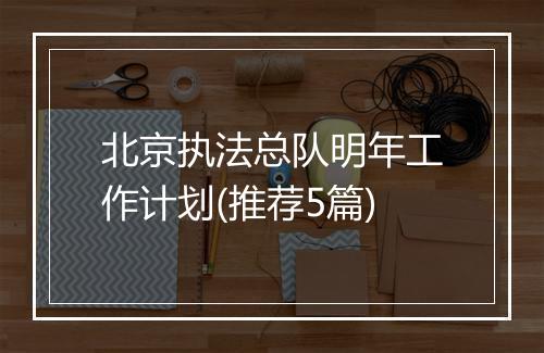 北京执法总队明年工作计划(推荐5篇)