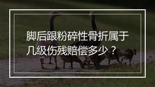 脚后跟粉碎性骨折属于几级伤残赔偿多少？
