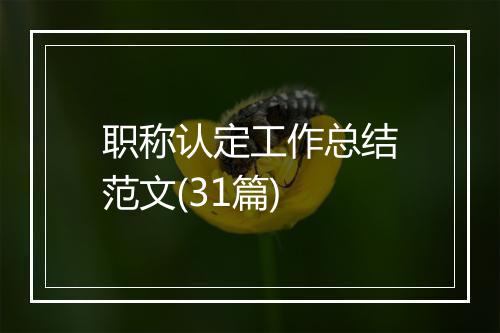 职称认定工作总结范文(31篇)