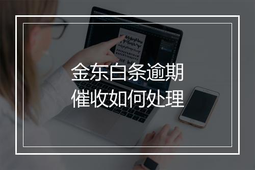 金东白条逾期催收如何处理