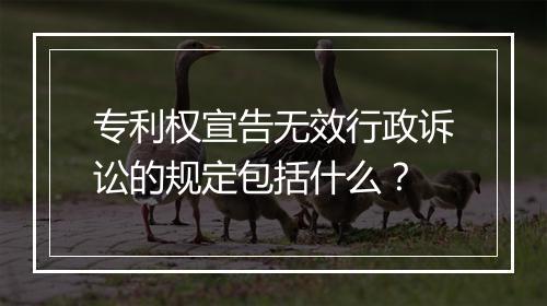 专利权宣告无效行政诉讼的规定包括什么？