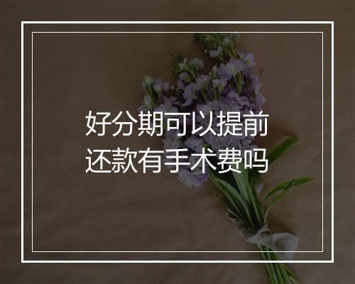 好分期可以提前还款有手术费吗