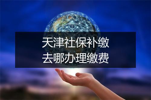 天津社保补缴去哪办理缴费