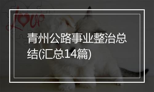 青州公路事业整治总结(汇总14篇)