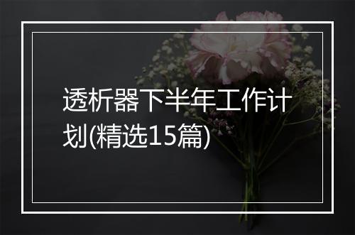 透析器下半年工作计划(精选15篇)