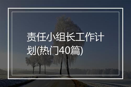 责任小组长工作计划(热门40篇)