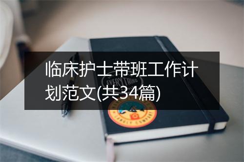 临床护士带班工作计划范文(共34篇)