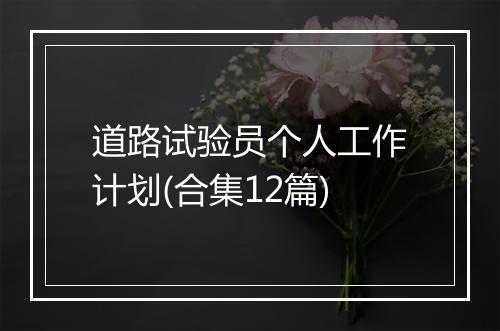 道路试验员个人工作计划(合集12篇)