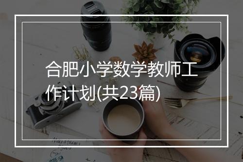 合肥小学数学教师工作计划(共23篇)