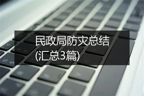 民政局防灾总结(汇总3篇)