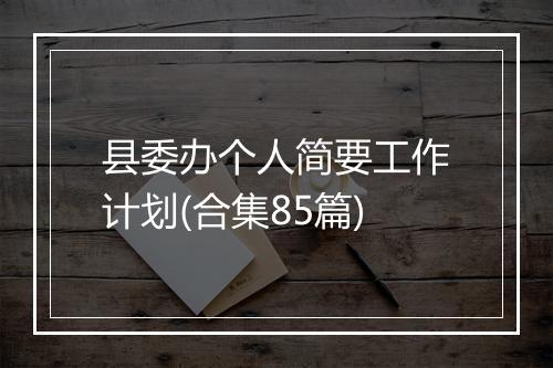 县委办个人简要工作计划(合集85篇)