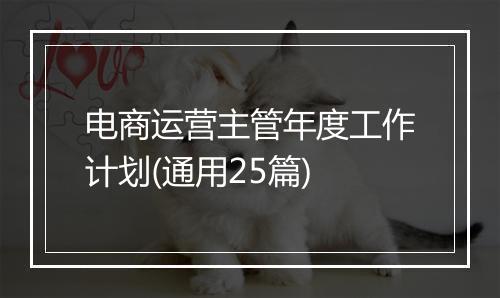 电商运营主管年度工作计划(通用25篇)