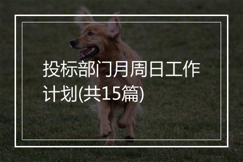 投标部门月周日工作计划(共15篇)