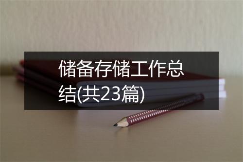 储备存储工作总结(共23篇)