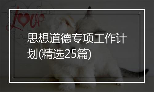 思想道德专项工作计划(精选25篇)