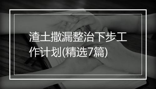 渣土撒漏整治下步工作计划(精选7篇)