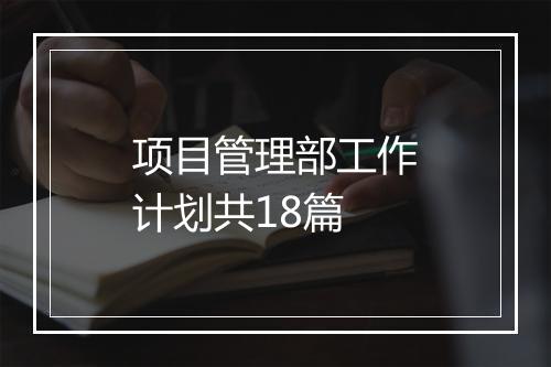项目管理部工作计划共18篇