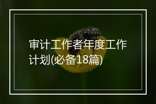 审计工作者年度工作计划(必备18篇)