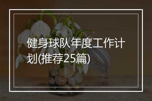 健身球队年度工作计划(推荐25篇)