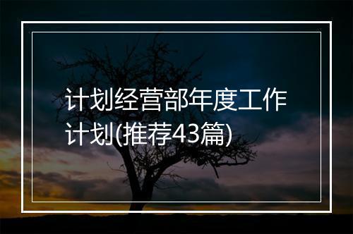 计划经营部年度工作计划(推荐43篇)