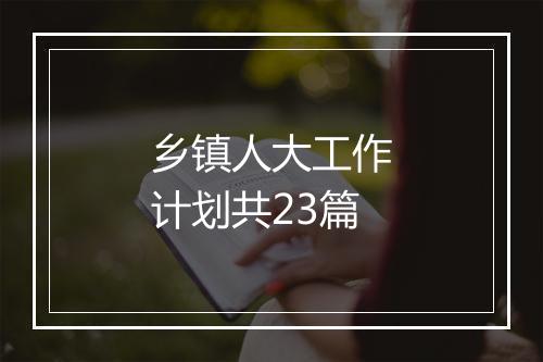 乡镇人大工作计划共23篇