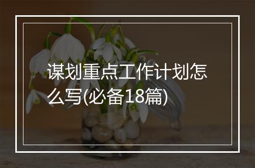 谋划重点工作计划怎么写(必备18篇)