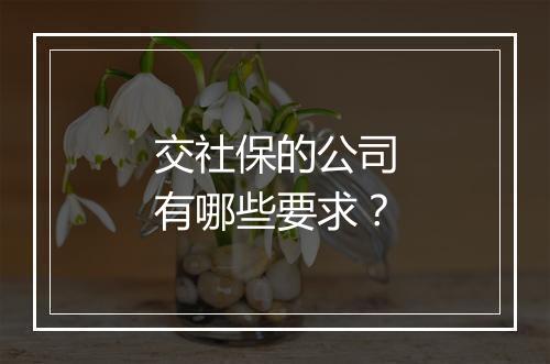 交社保的公司有哪些要求？