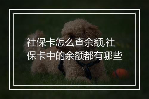 社保卡怎么查余额,社保卡中的余额都有哪些